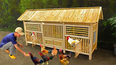 chicken bet|house chicken bet.